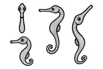 Fototapeta premium Retro style seahorses with vintage dot patterns in monochrome design