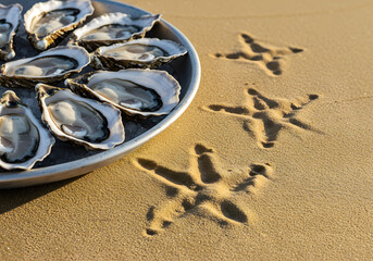 Oysters on a platter on sandy beach