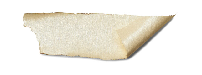 Old Torn Textured Paper with Curled Corner