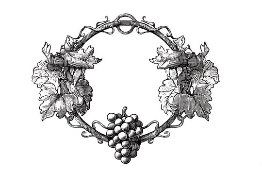 Elegant Vintage Frame with Grapevine and Grape Bunches Ideal for Invitations, Menus, or Wine Labels and More