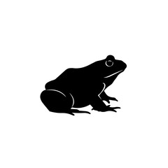 Black Silhouette of a Frog, Amphibian Creature Graphic