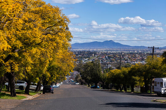 Tamworth streetscape with view to hills and distant rooftops