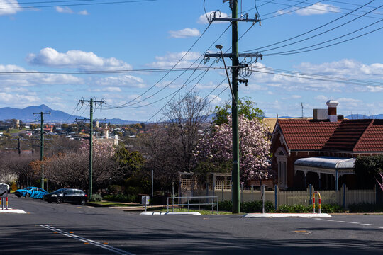 Tamworth streetscape in winter with trees beginning to flower