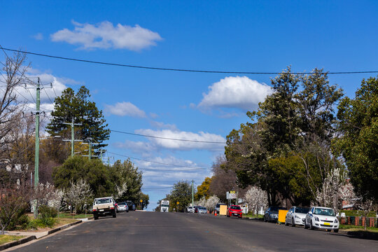 Tamworth streetscape in winter with spring blossoms beginning to flower