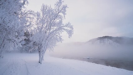 A beautiful winter fairy-tale Christmas background - A tree on the edge of a forest by a cold river in a mysterious fog - mystical moments in nature. beautiful winter landscape. High quality 4k - Powered by Adobe