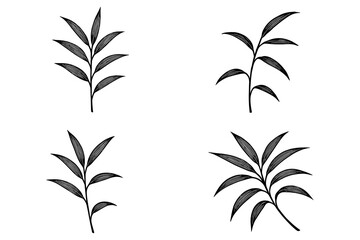 Naklejka premium Elegant black and white botanical leaf set in hand drawn style