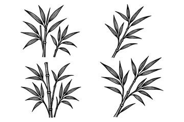 Obraz premium Elegant bamboo leaf sketch set featuring hand drawn botanical designs