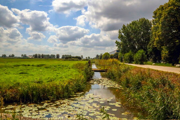 Meadows at future Cortelande where new commercial area will arise