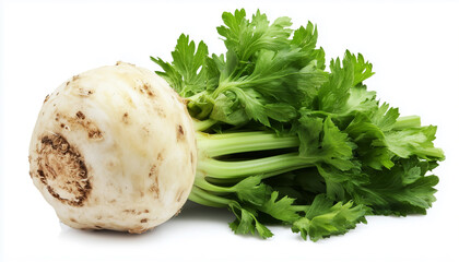 Fresh celery root isolated on white background