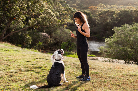 A woman is engaged in training her dog in a lush park with trees and a river nearby