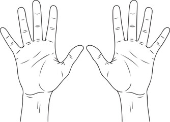 Outline of two open human hands showing palm lines silhouette isolated on transparent background