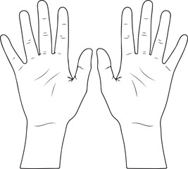 Outline of two open human hands showing palm lines silhouette isolated on transparent background
