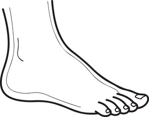 Outline silhouette of a human foot and ankle isolated on transparent background