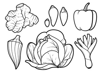 Cabbage head, bell pepper, hot pepper, okra, ginger root, shallot linear drawing on white background
