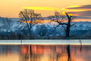 Jesienny poranek nad stawem, stare dęby, tapeta.