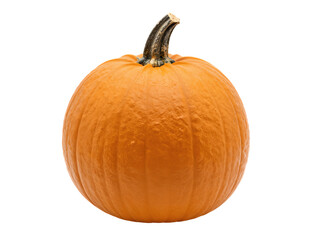 Orange Pumpkin With Stem Photorealistic Illustration