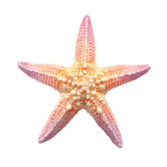 Pastel Starfish Isolated on White Background - Professional Quality Stock Photo