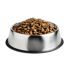 Professional Stainless Steel Dog Bowl Filled with Dry Kibble for Pets