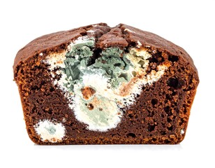 Close-up of a partially cut, moldy chocolate cake, showing visible green and white fungal growth