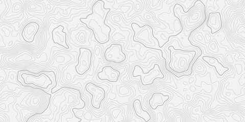 Stylized Geographic Contour Line Structure
Layered Mountain Elevation Paths in a Minimal Black Pattern