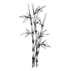 Obraz premium Ink sketch of bamboo stalks representing strength prosperity and nature in Chinese New Year themes.