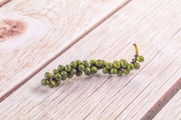 Ripe green pepper corn branch