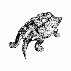 Detailed black and white line drawing of an alligator snapping turtle with textured shell and realistic features.