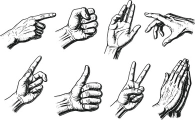 Vintage sketch illustration of different hand gestures isolated on transparent background.