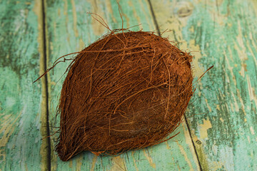 Tropical exotic brown haired coconut