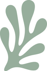 Abstract Coral Leaf | Minimal Botanical Line Art | Modern Organic Shape Illustration