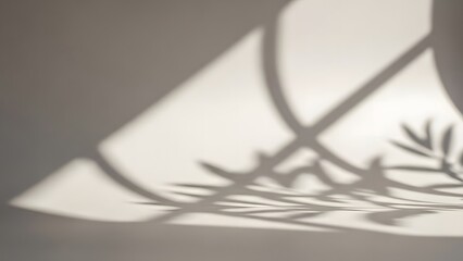 Soft shadow of plant leaves and window frame on a wall image photo