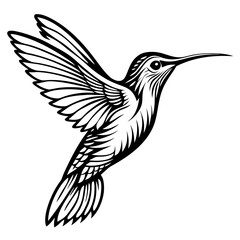 Fototapeta premium hummingbird-silhouette-with-white-background 