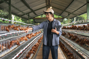 Dedicated Farmer Inspecting Egg Production in Modern Chicken Coop © Gatot