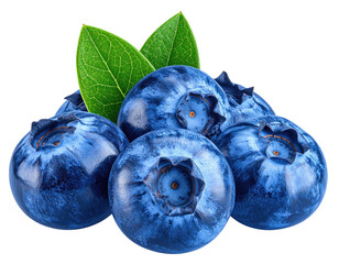Obraz premium Close-up of ripe blueberries with leaves, isolated, ready to eat