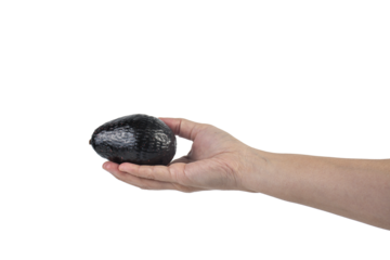 Avocado and hand isolated on transparent background close-up.