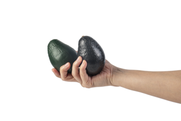 Avocado and hand isolated on transparent background close-up.