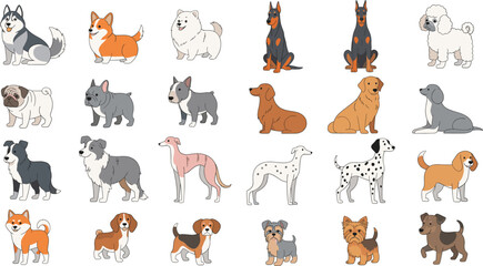 Cute cartoon dog breed collection featuring husky, corgi, doberman, poodle, pug, dalmatian, beagle and various puppy illustrations © Sumon Creative