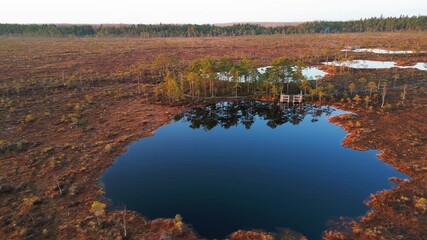 Drone footage of Kuresoo bog with wooden footbridge in Soomaa National Park, Estonia, during spring