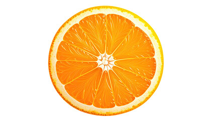 Slice of citrus fruit, cut, showing segments and rind, black backdrop