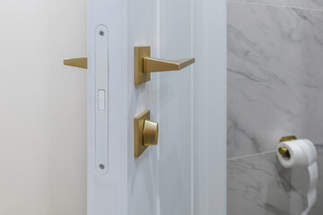 Modern White Door with Golden Handle in Bathroom Interior