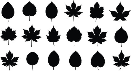 Autumn leaves vector silhouette collection design icon set