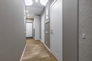 Modern Hallway with White Doors and Wooden Floor in Apartment Interior