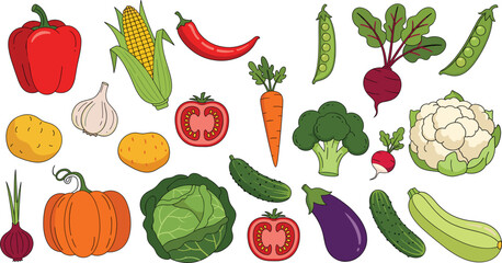 Colorful vegetable illustration set featuring peppers, corn, tomatoes, carrots, broccoli, cauliflower, cucumbers, eggplant, pumpkin, and fresh garden produce