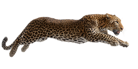 Bright red suitcase with wheels isolated on white background