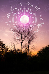 Zodiac signs and astrology with constellations, concepts, predictions, horoscopes, beliefs