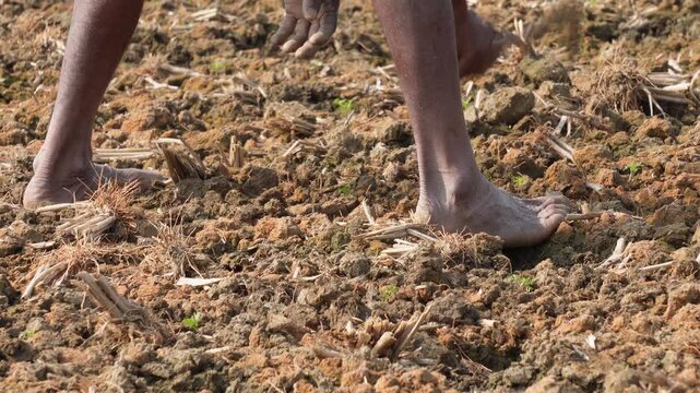 person engaged in manual farming activities in a dry, tilled field. 
