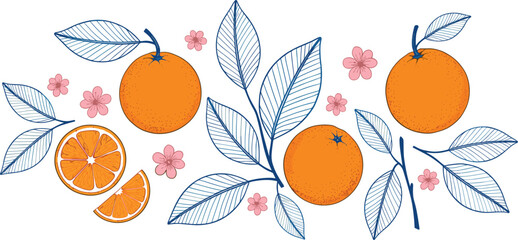 Hand-drawn orange fruit illustration set featuring branches, leaves, blossoms, citrus slices, floral accents, and botanical decorative elements