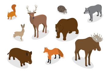 Woodland wild animals collection. Wolf, fox, deer, hedgehog, squirrel, hare, elk, bear, boar. Wildlife nature isolated characters zoo woodland inhabitants. Flat vector illustration.