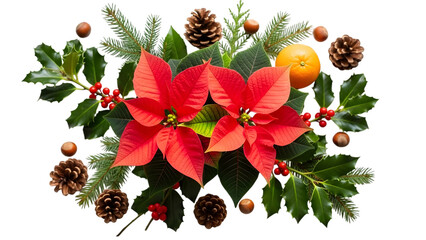 Vibrant christmas arrangement with poinsettias and pinecones on white isolated on transparent background