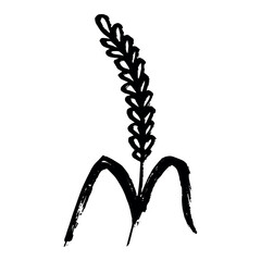 Hand drawn cereal wheat oat rye barley rice ears spikelet clipart Organic wheat bread agriculture farming harvest healthy food Single element for print packaging label design decor